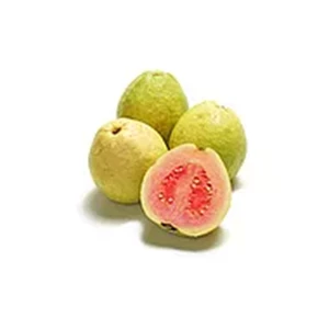 Fresh Fruit Edenfarm Guava / Guava