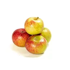 Edenfarm Malang Apple Fresh Fruit