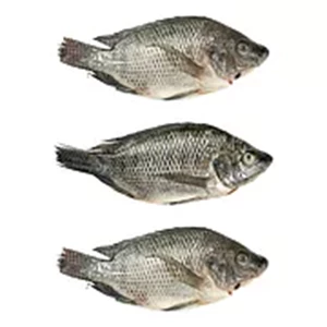 Ikan Kering Nila Bersih ( 3 Pcs Per Kg )