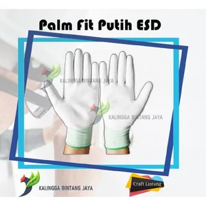 Glove