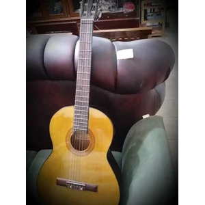 Gitar Garics F 370 