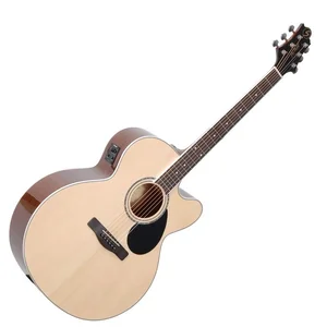 GITAR AKUSTIK LESLEY ACO1 Gitar