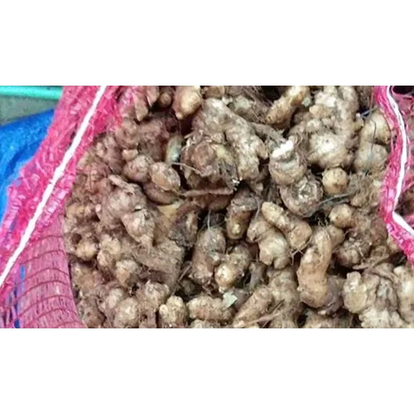 Jahe Emprit Basah