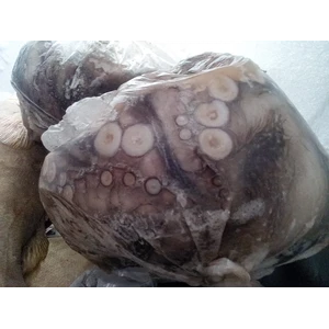Frozen Octopus size 2 kg Up