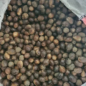 Biji Pala Dengan Cangkang Kualitas B