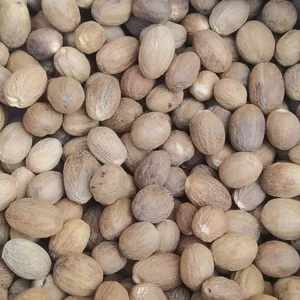 Biji Pala Kupas Myristica Fragrans