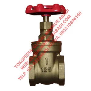 MDT GT125 BRASS BODY SCREW END GATE VALVE DRAT
