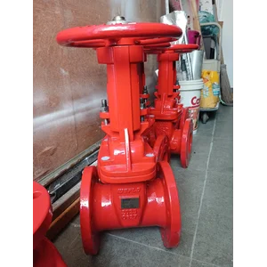 WEFLO GATE VALVE FIG0111 OS Y RS UL FM 300PSI