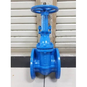 TOZEN 4INCH CAST IRON RISING STEAM GATE VALVE FLANGE PN16