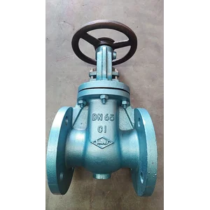 SHOW PN16 CAST IRON GATE VALVE OSY