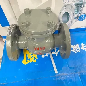 OAKON SWING CHECK VALVE PN16 WCB BODY