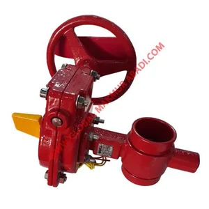 WEFLO F1022-300 BUTTERFLY VALVE GROOVED