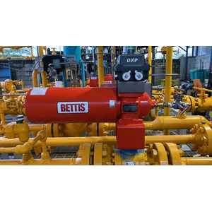 Valve Actuator Bettis ( SDV )