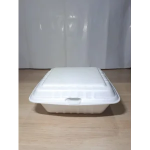 Kotak Nasi Besar