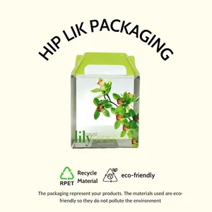 Plastik Kemasan PET Custom Folding Box Beauty