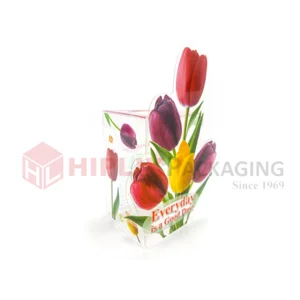 Custom Packaging Plastik PET Display box
