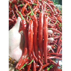  Cabai Merah Besar High Quality