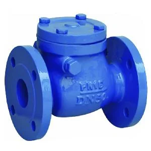 Swing Check Valve PN10 Cast Iron diameter 3 Inch / 3"