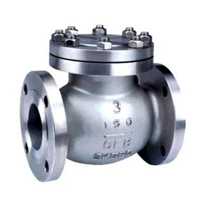 Swing Check Valve PN10 Cast Iron diameter 5 Inch / 5"