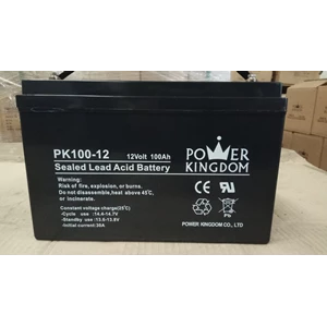 Battery UPS Power Kingdom PK100-12