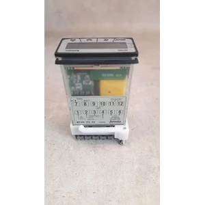 Panel Meter Autonics Type MT4N-DV-44