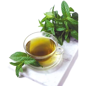 Ekstrak Teh Hijau - Green Tea Extract