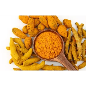 Ekstrak Kunyit - Turmeric Extract Curcumin