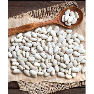 Ekstrak Kacang Ginjal Putih - Phaseolus Vulgaris