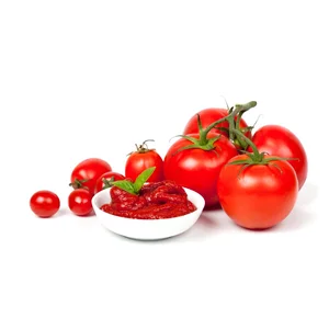 Ekstrak Tomat - Lycopene