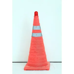 Traffic Cone Leopard 0198
