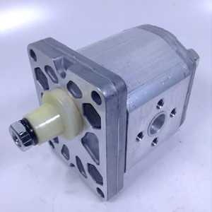 Marzocchi Hydraulic Gear Pump ALM2-R-20-E1  