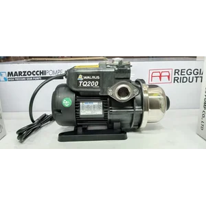 Walrus Electronic Control Pump TQ Series TQ200