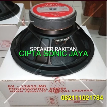 Dari Speaker Audax 12 Inch Ax 12452 M8 Full Range 3