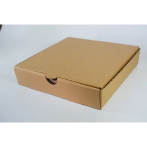 Box Pizza Kotak Karton Dus