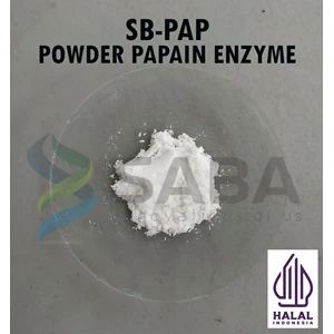 Food Grade Papain Enzyme Powder 25KG Halal