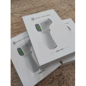 Thermogun Infrared