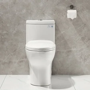 Roca Victoria Elongated + E-Flush ( Closet Duduk )