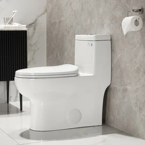 Roca Victoria Elongated + E-Flush ( Closet Duduk )