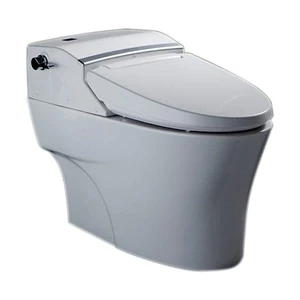 American Standard Aerozen Shower Toilet CEAS5312-1000422C0