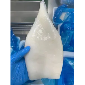 Cumi Tube (Kupas) Beku