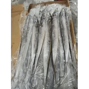 Ikan Beku dan Fillet Layur