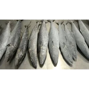 Ikan Beku dan Fillet Tenggiri