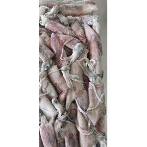 Frozen Squid Omega Seafood size 5 to 10 cm