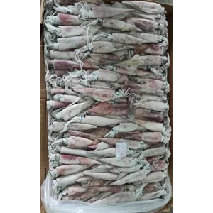 Cumi Omega Seafood beku ukuran Up 10 Cm