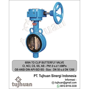 609A To Clip Butterfly Valve Size Dn50