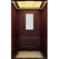 Vvvf Small House Elevators For Home With Belt Elevator