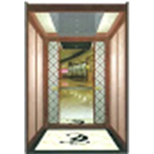 Home Lift Vvvf Controller Tipe Elevator Belt
