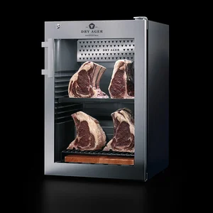 Dry Ager Dx 500