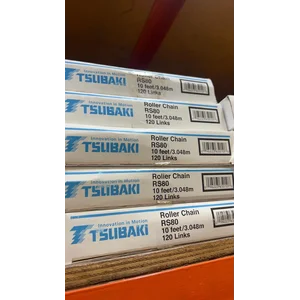 Rantai Conveyor Rantai RS 80-1-RP-U A110113 120 Links