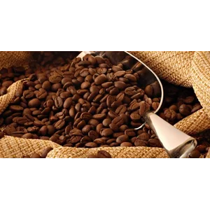 Minuman Kopi Arabika Gayo